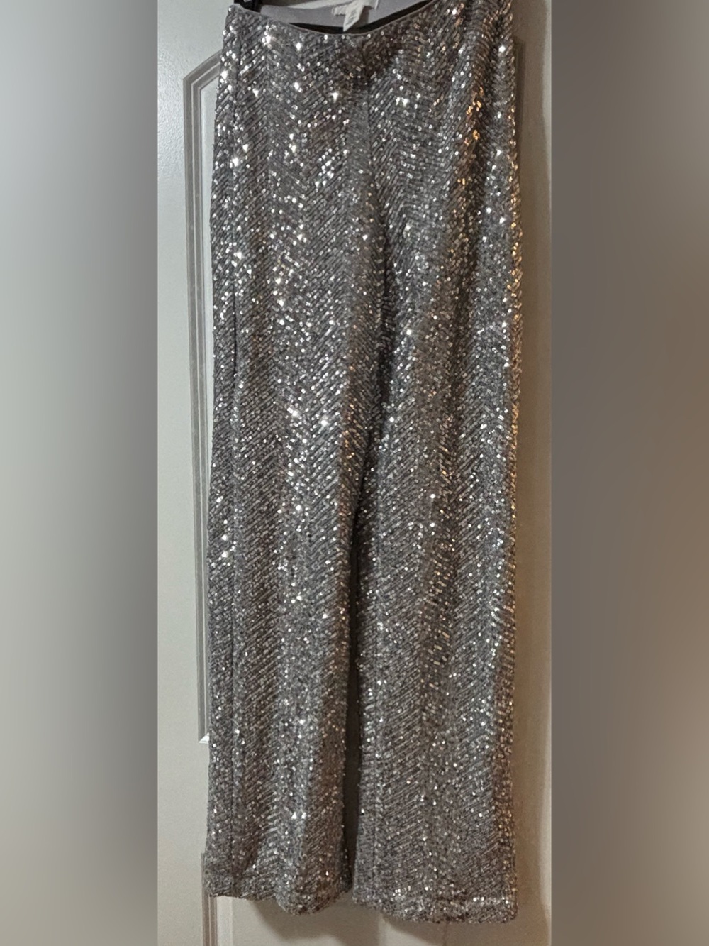 H&M Women’s Sequin Pants